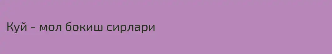 Куй - мол бокиш сирлари